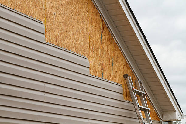 Professional Siding Inspection technician working in Windsor, CO
